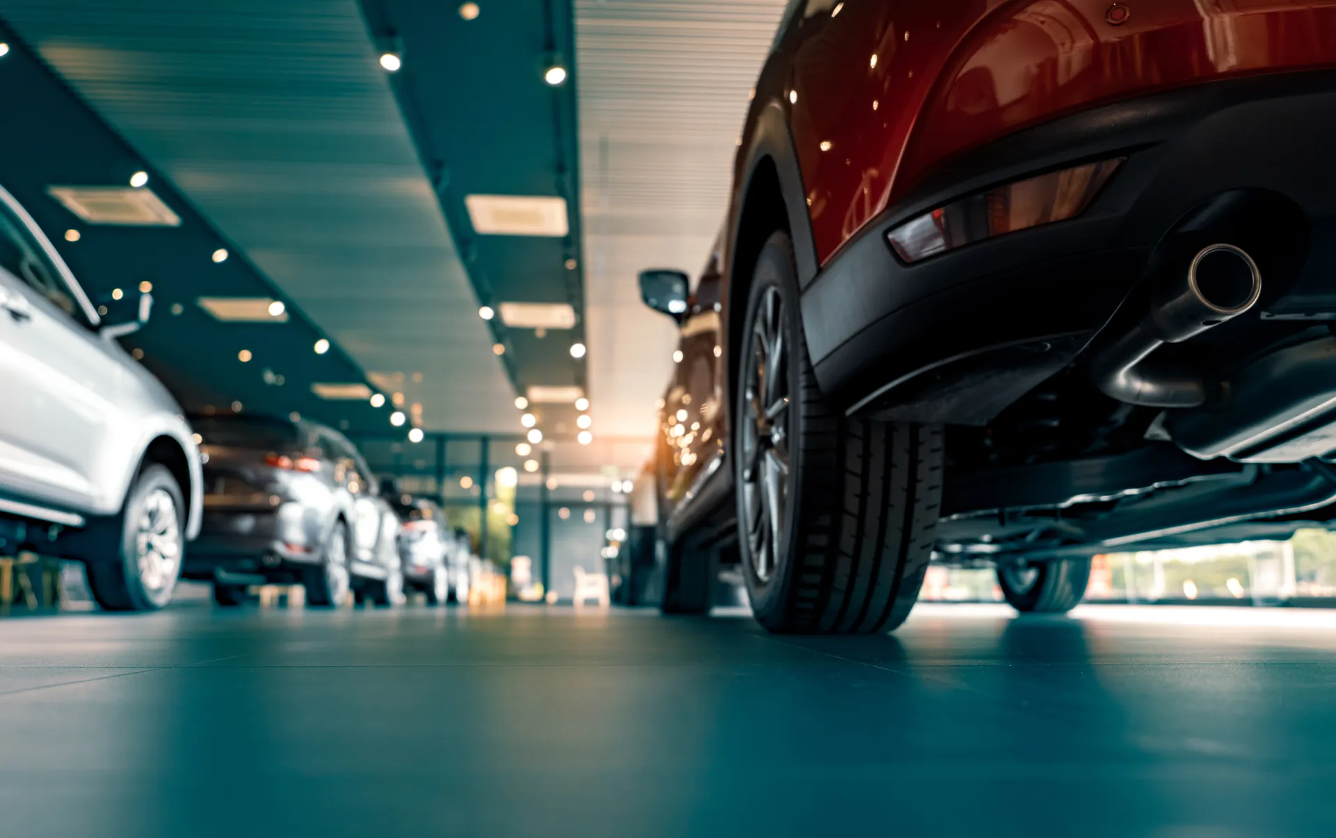 Coated dealership showroom floor
